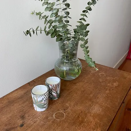 Alfama Rio 리스본